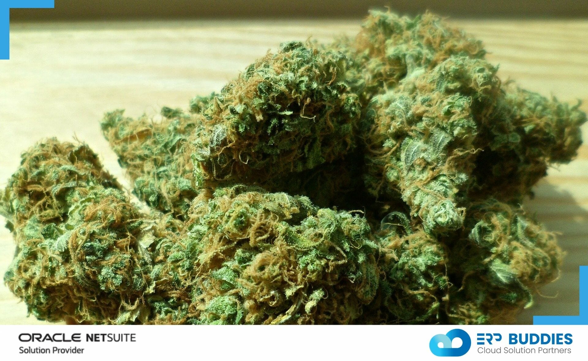 NetSuite ERP for the Cannabis industry.