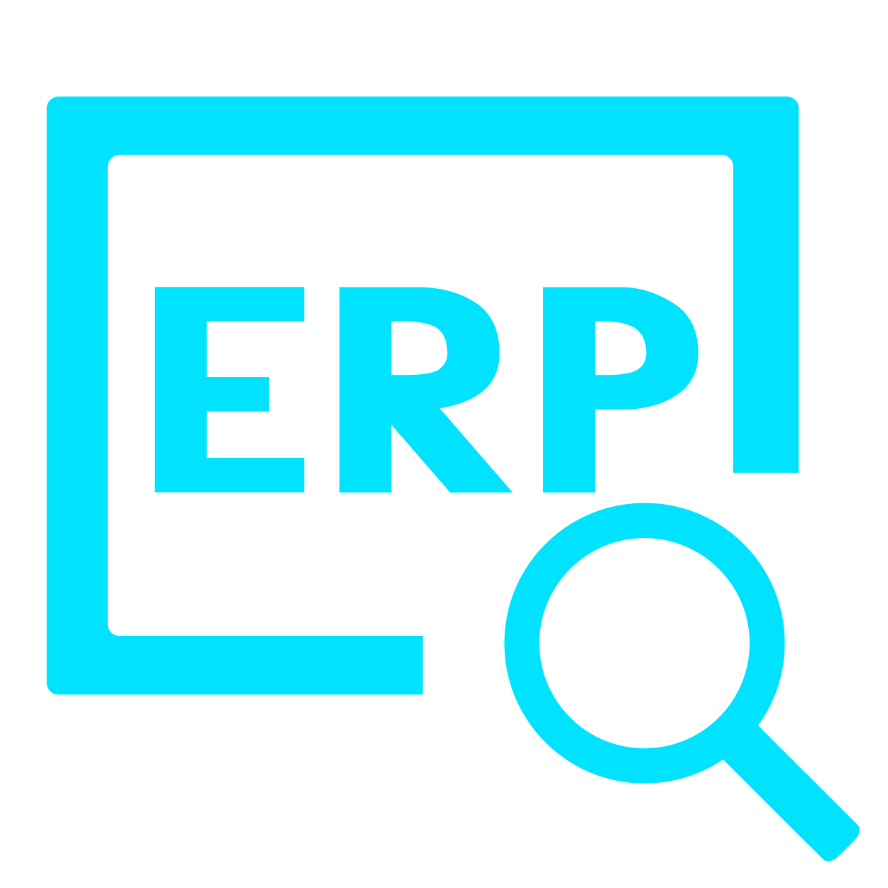the solution to broken and mismanaged erp customizations